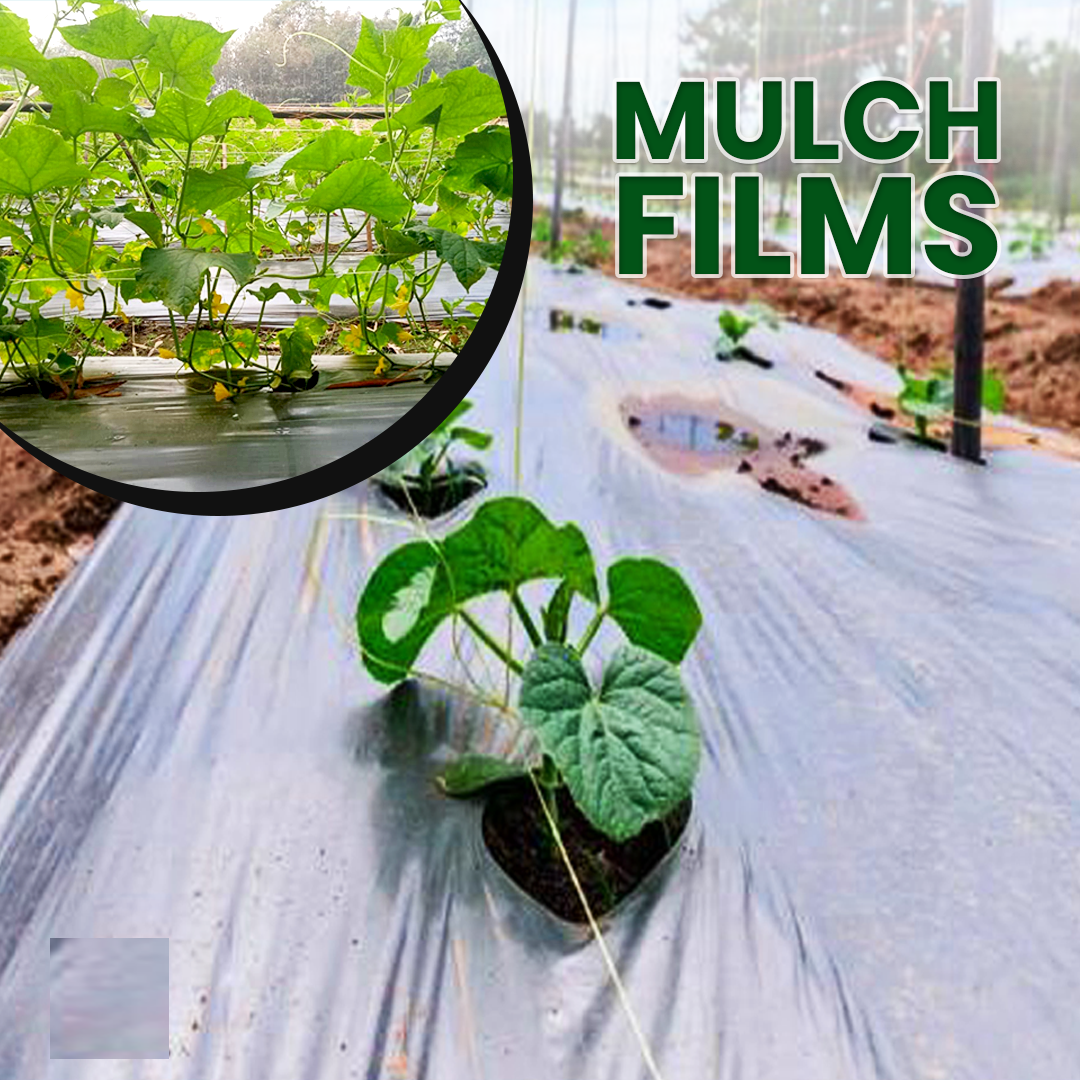 Report on Mulch Films Market Research 2030 - Value Market Research
