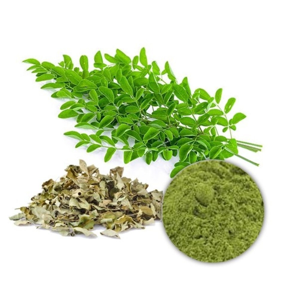 Moringa Extract Market 2023 Major Key Players and Industry Analysis Till 2032