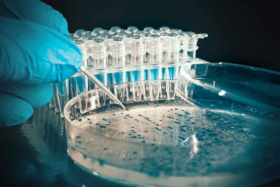 Recombinant Proteins Manufacturing Services Market Demand Analysis, Statistics, Industry Trends And Investment Opportunities To 2030