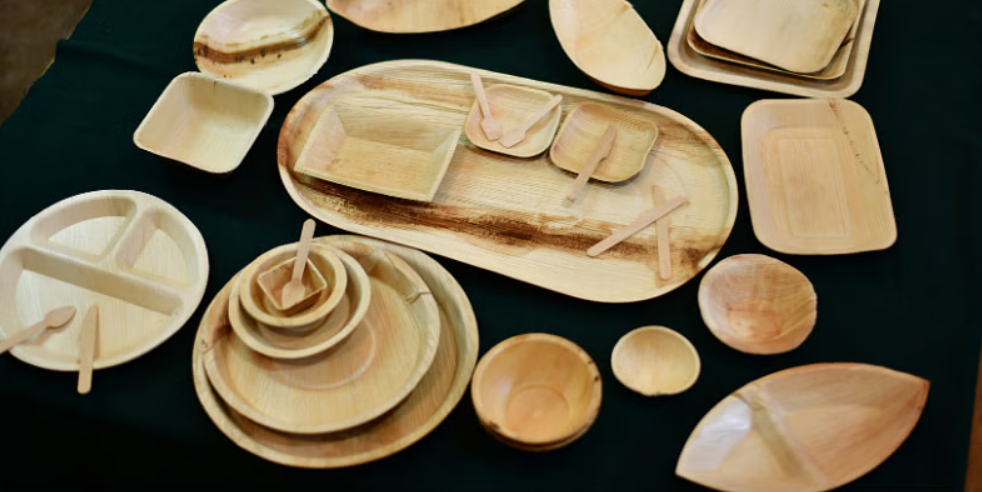Areca Plates Market Size, Share, Growth Opportunity & Global Forecast to 2032