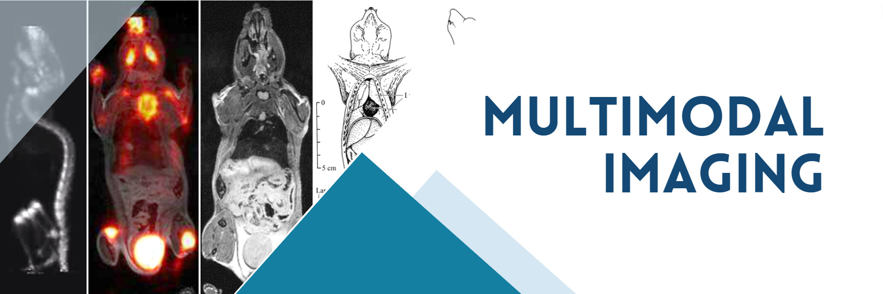Multimodal Imaging Market Size, Status, Growth | Industry Analysis Report 2023-2032