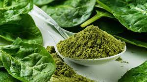 Greens Powder Market Size, Share, Regional Overview and Global Forecast to 2030