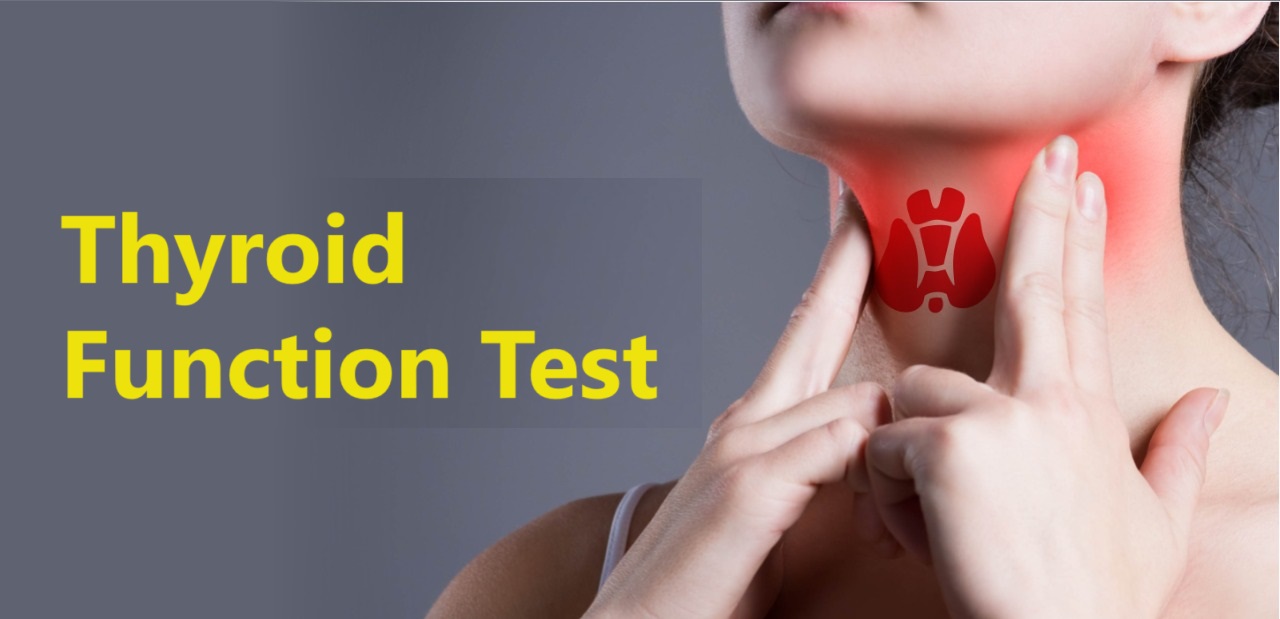 Report on Thyroid Function Test Market Research 2032 - Value Market Research