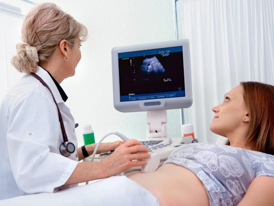 Global Doppler Ultrasound Market 2031 | Industry Forecast Report