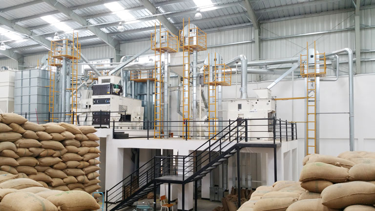 Global Seed Processing Machinery Market Insights 2031