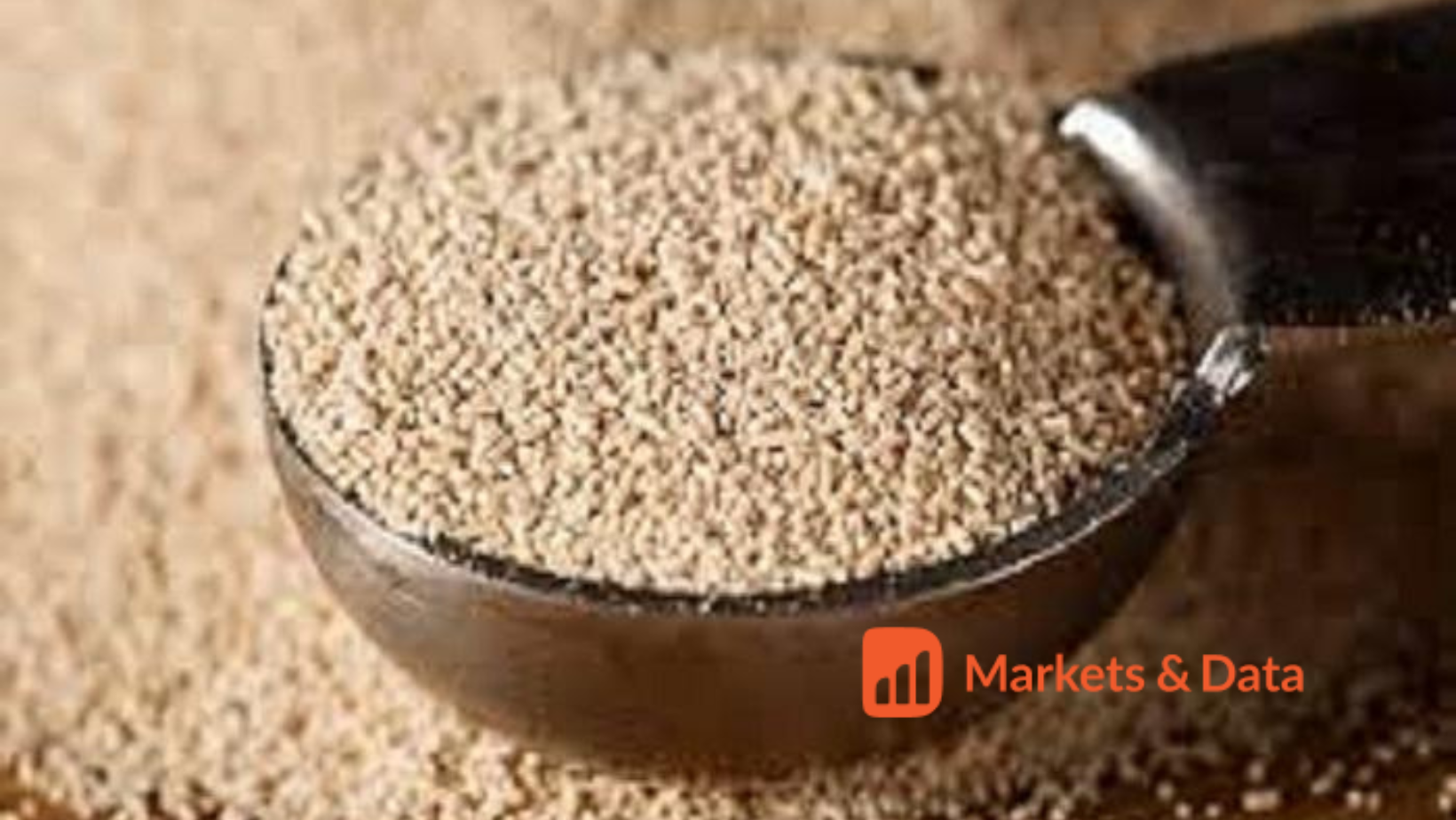 Global Specialty Yeast Market Size, Industry Share, Forecast 2031