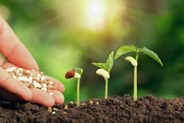 China Organic Fertilizers Market Size & Share Analysis 2031
