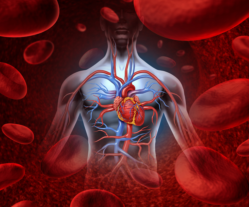 How to improve blood circulation in body and revitalize your life!