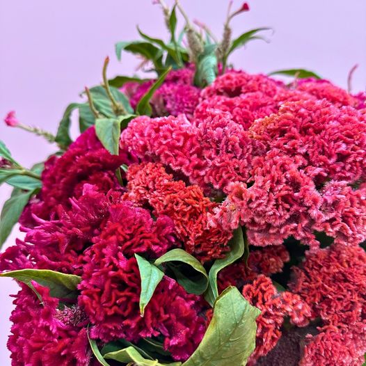 Flowers to Perth, Australia - The Flower Run