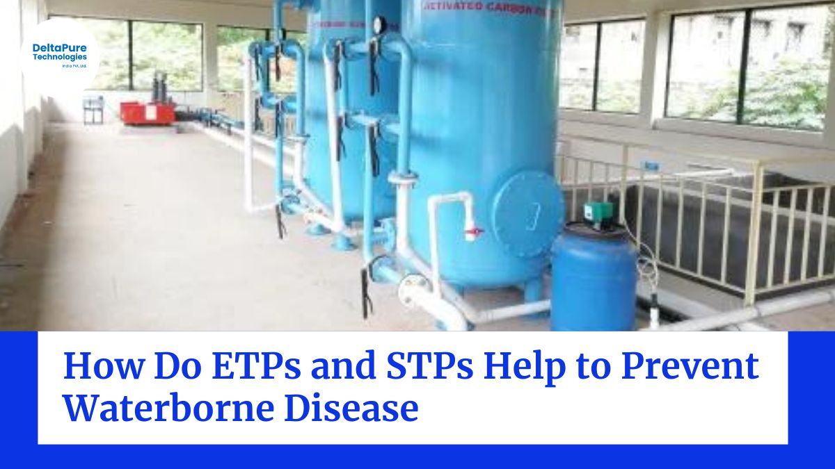 How Do ETPs and STPs Help to Prevent Waterborne Disease