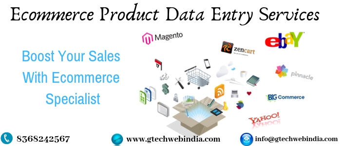 Best Ecommerce Data Entry Services | Outsource Data Entry Services