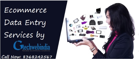 Best Ecommerce Data Entry Services Provider – Gtechwebindia
