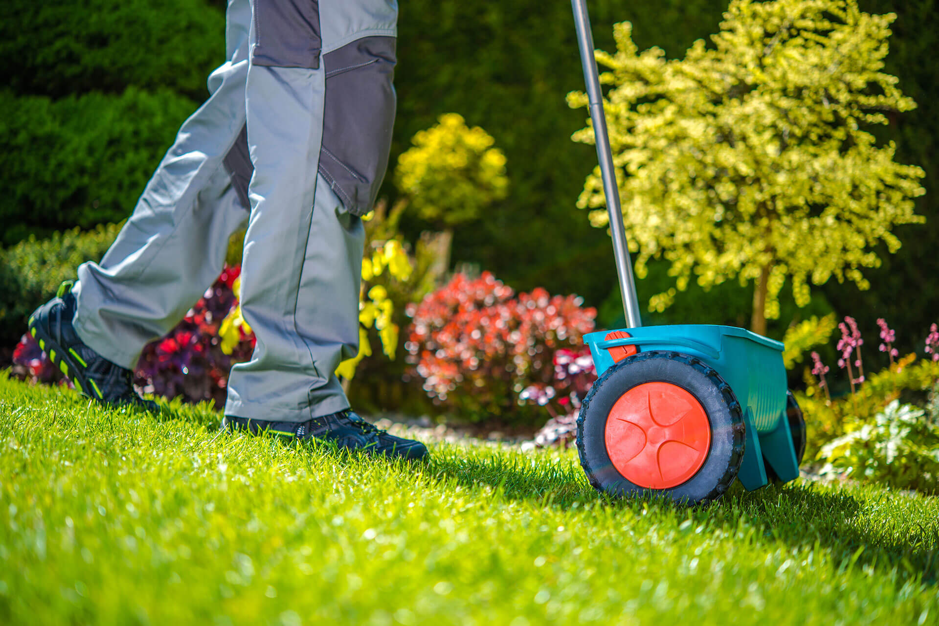 Transform Your Outdoor Space with Professional Garden Services