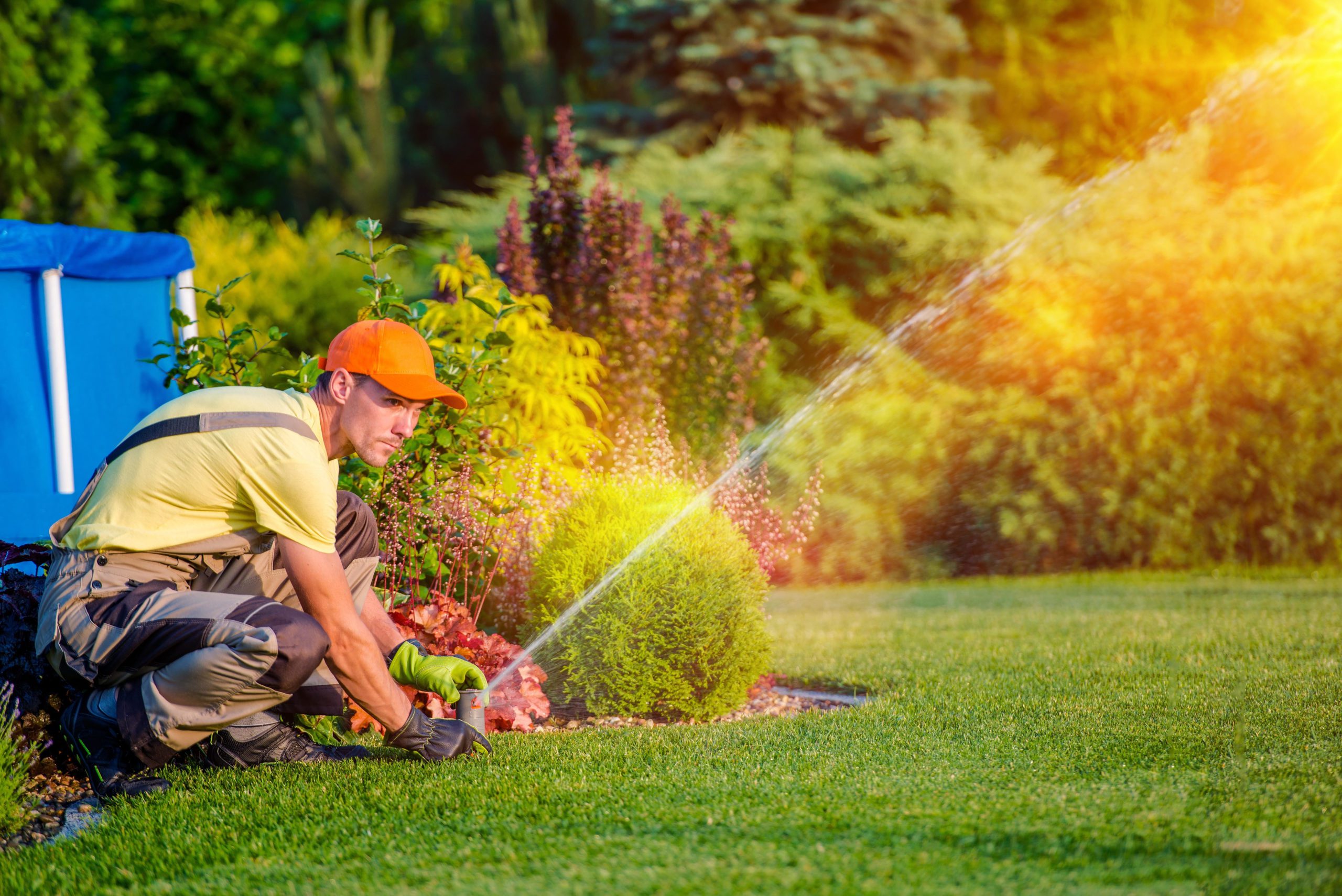  Why Year-Round Garden Services Are a Smart Investment?