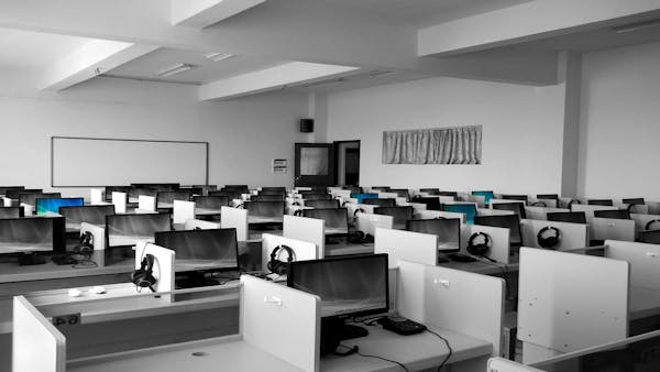Web Real-Time Communication Global Market 2024 - By Size, Demand, Share, Trends, Forecast To 2033