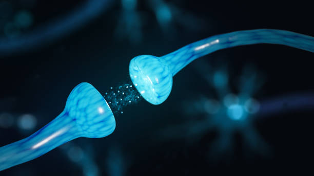 G- Protein Coupled Receptors Global Market 2024 - By Insights, Size, Competitive Landscape, Analysis Forecast To 2035