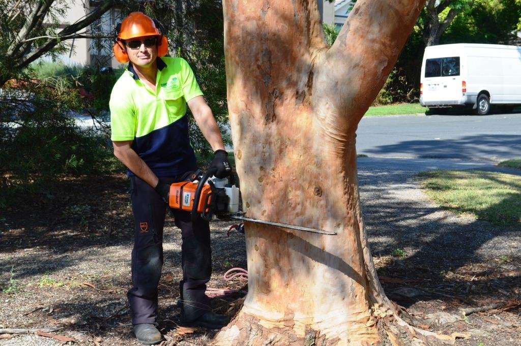How Can Professional Stump Removal Services Revitalise Your Landscape?
