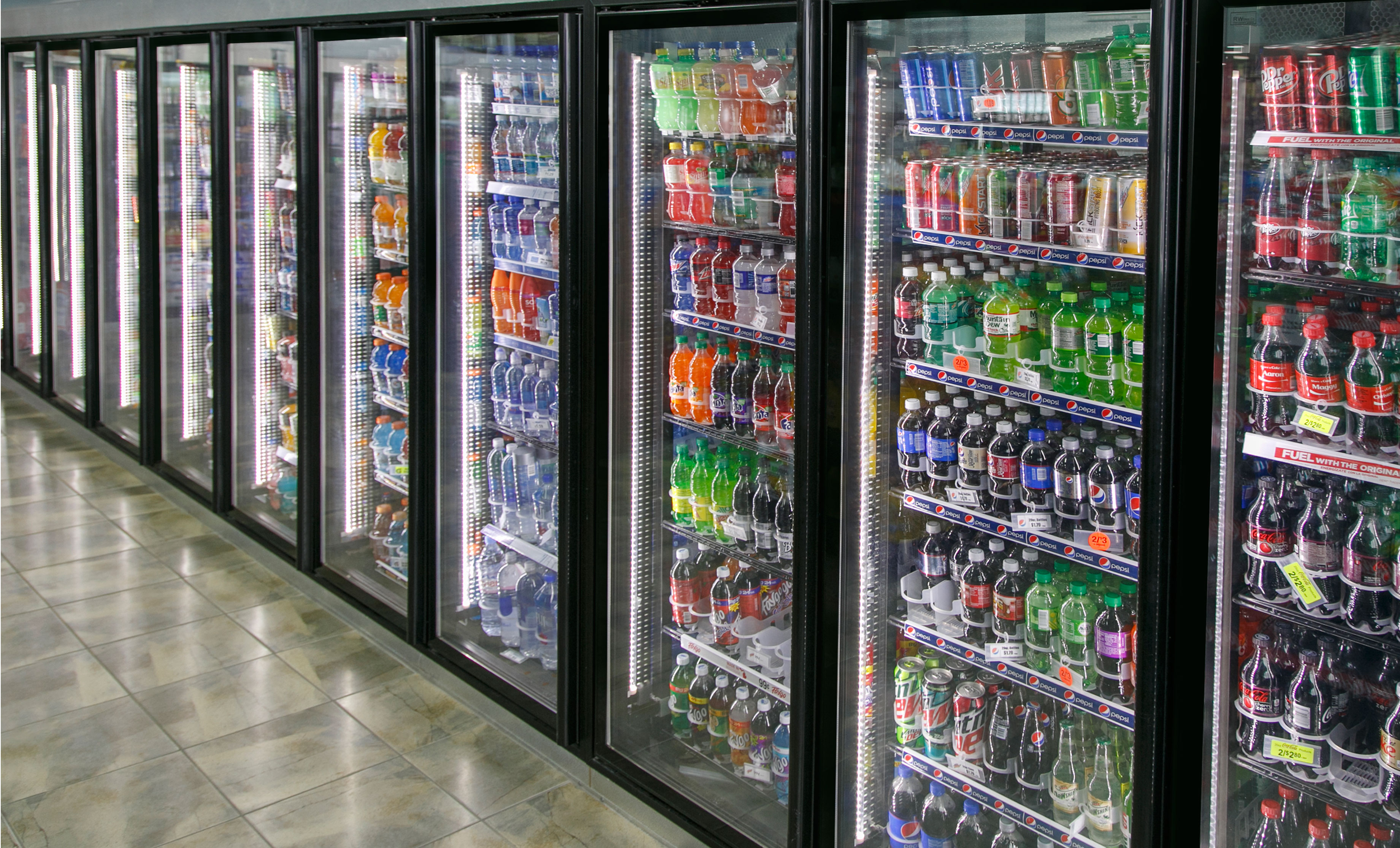 SEA Freezer & Beverage Cooler  Market The Rise of Demand Market Analysis and Growth Expectations in 2031
