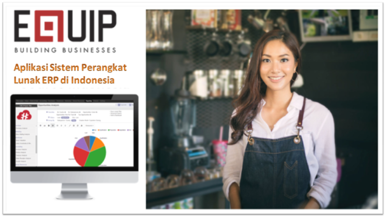 Application System Software, ERP in Indonesia
