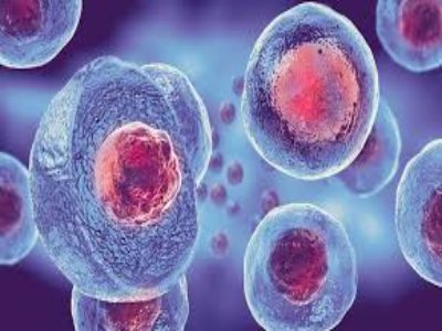 Autologous Stem Cell and Non-Stem Cell Based Therapies Market is Estimated to Witness High Growth Owing to Increased investments in R&D