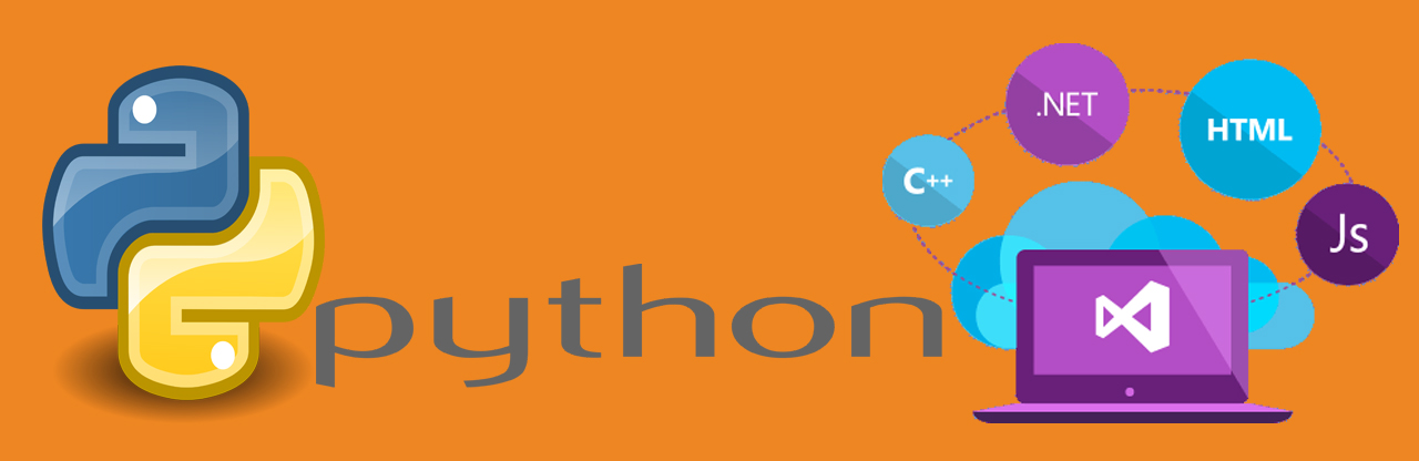 Python Development Company in New York 