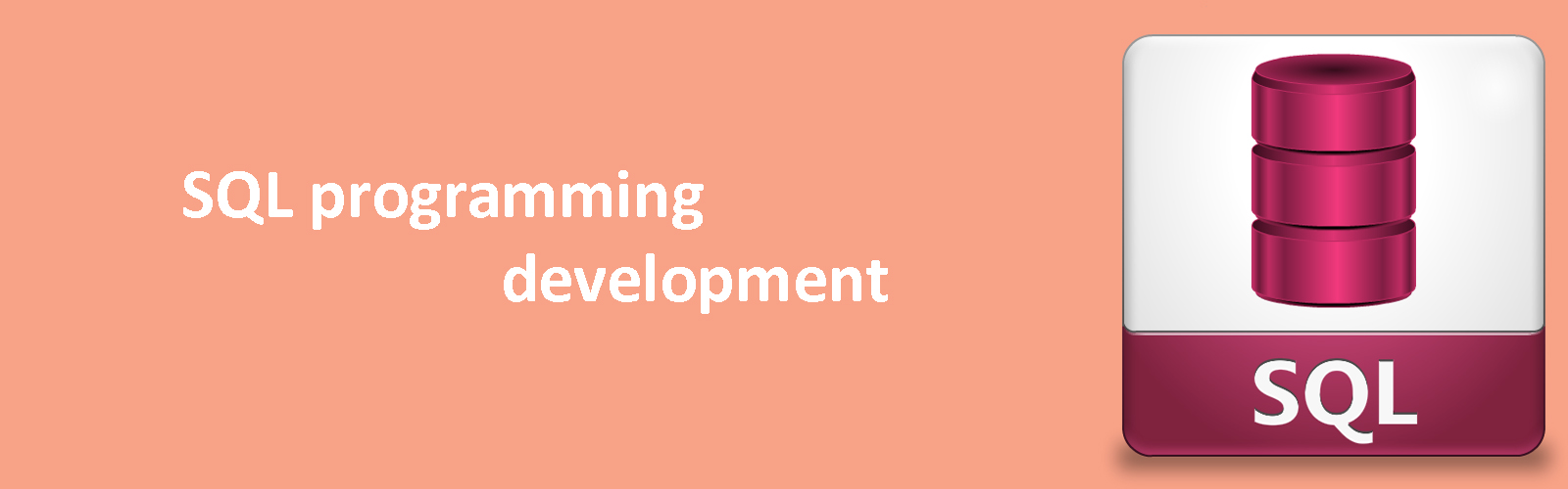 SQL Programming Development Company