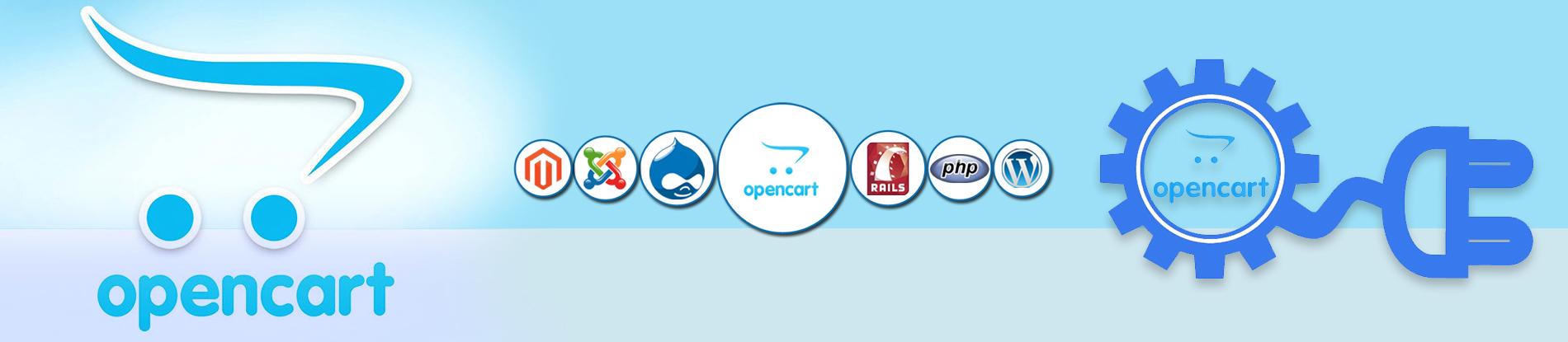 OpenCart Development Company in US