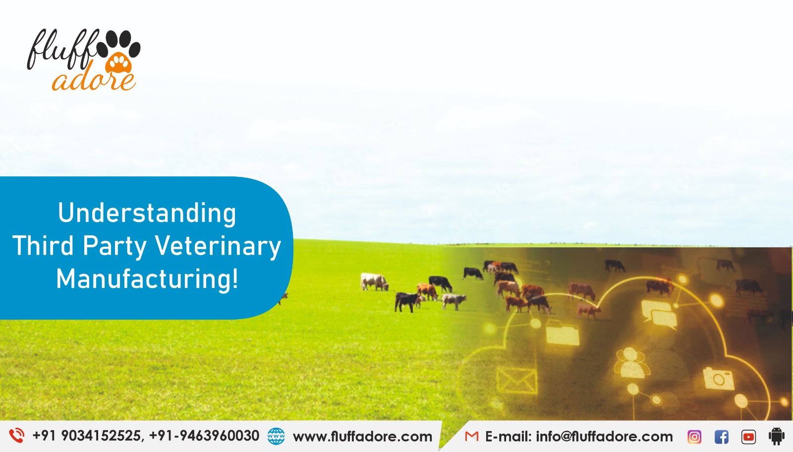 Understanding third party veterinary manufacturing!