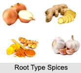 Exploring the Aromatic World of Root Type Spices