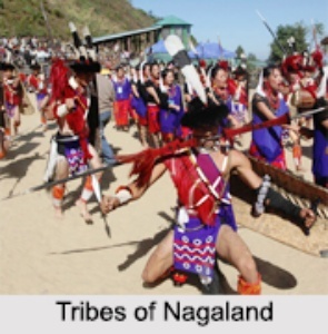 The Rich Tapestry of North East Indian Tribes: A Cultural Mosaic