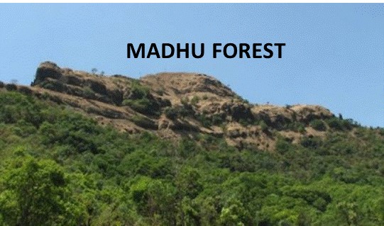 Madhu Forest