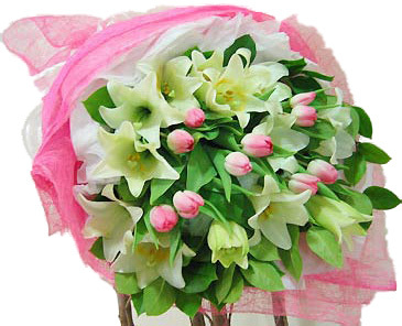 Buy Fresh Flowers Online Dubai