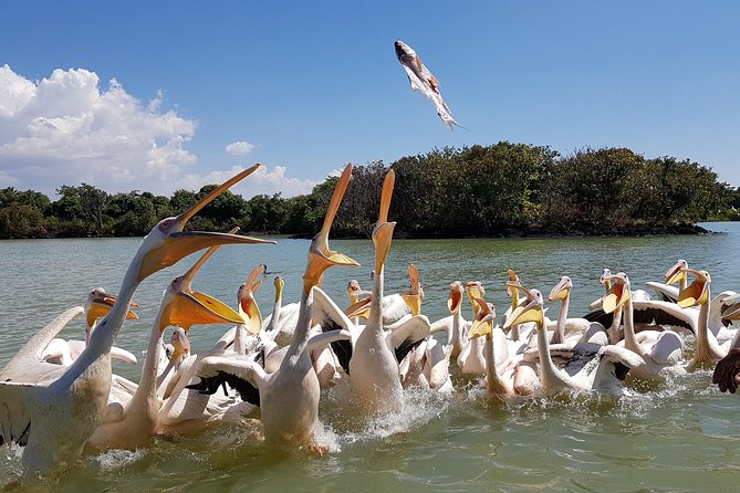 Bahir Dar Tours