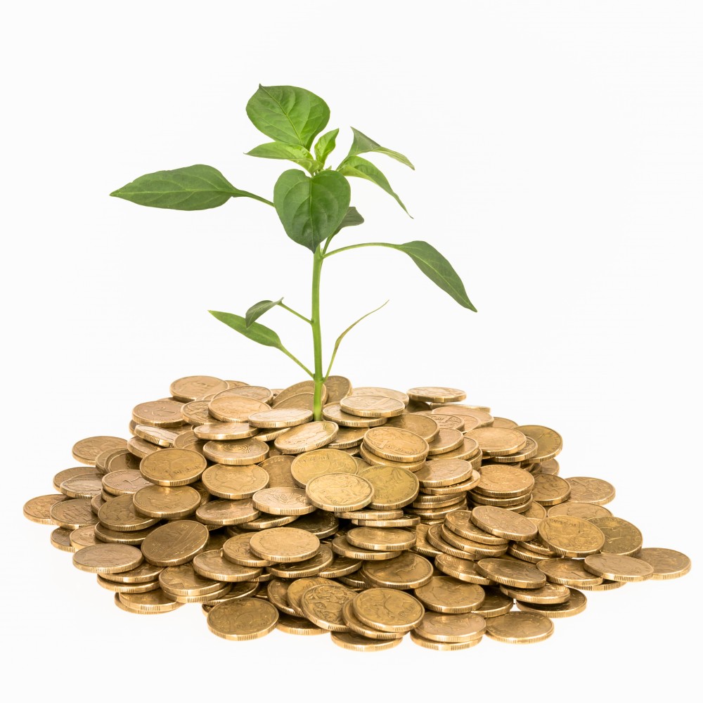 Vaastu Advice Report for Wealth and Money by Ajatt Oberoi