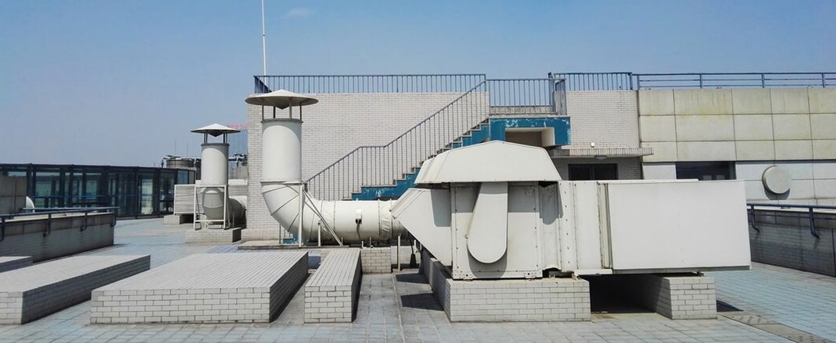 Baking Basics: Must-Have Equipment for Home Bakers 