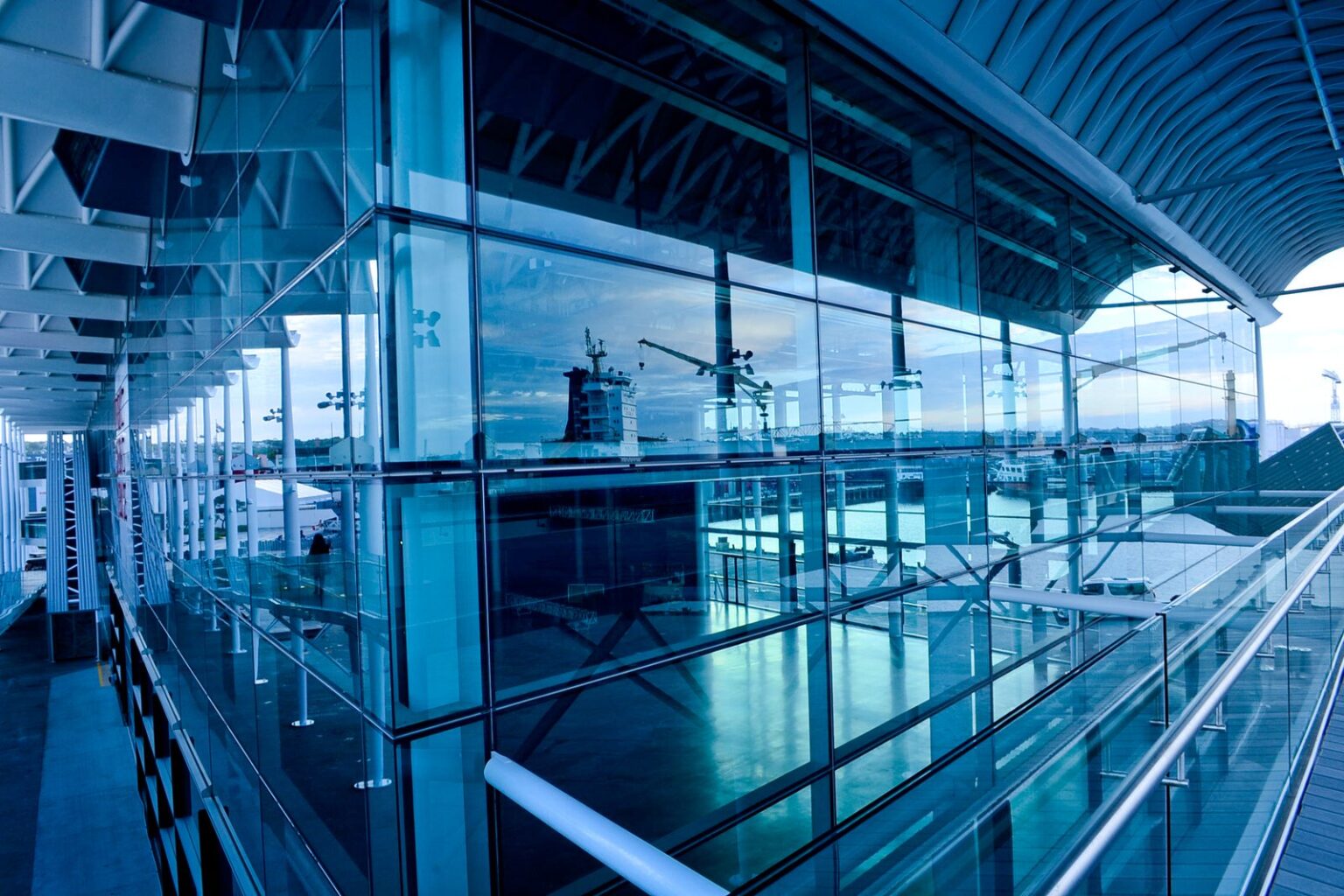 Thinking of Glass Walls? Here’s What You Need to Know!
