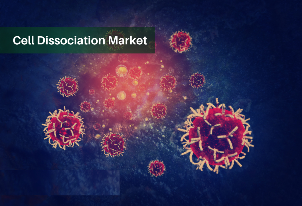 Cell Dissociation Market Size, Share, Regional Overview and Global Forecast to 2032