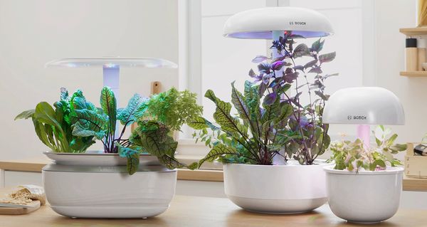 Smart Vase Market 2023 Major Key Players and Industry Analysis Till 2032
