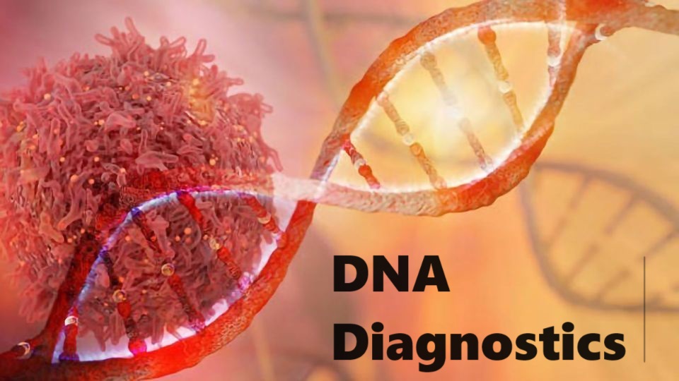 DNA Diagnostics Market Size, Status, Growth | Industry Analysis Report 2022-2030
