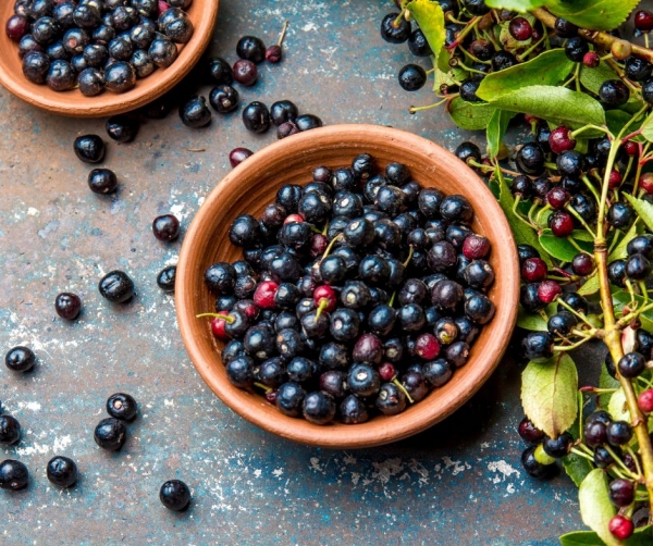 Maqui Berries Market Size, Status, Growth | Industry Analysis Report 2022-2030