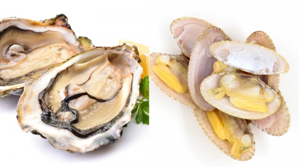 Report on Oyster & Clam Market Research 2032 - Value Market Research