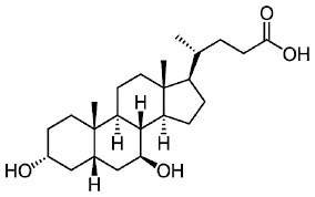 Ursodeoxycholic Acid Market Size, Share, Regional Overview and Global Forecast to 2032