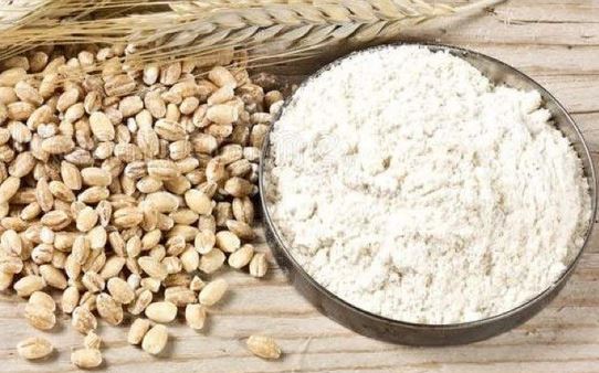 Malted Barley Flour Market 2022 Major Key Players and Industry Analysis Till 2030