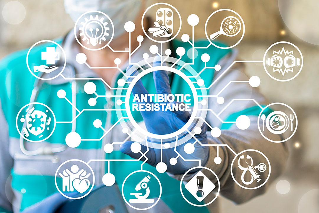 Antimicrobial Resistance Market Size, In-depth Analysis Report and Global Forecast to 2030