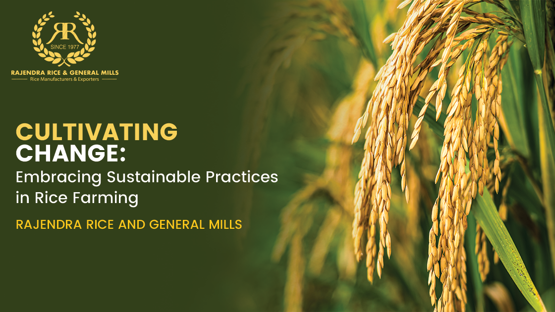 Cultivating Change: Embracing Sustainable Practices in Rice Farming
