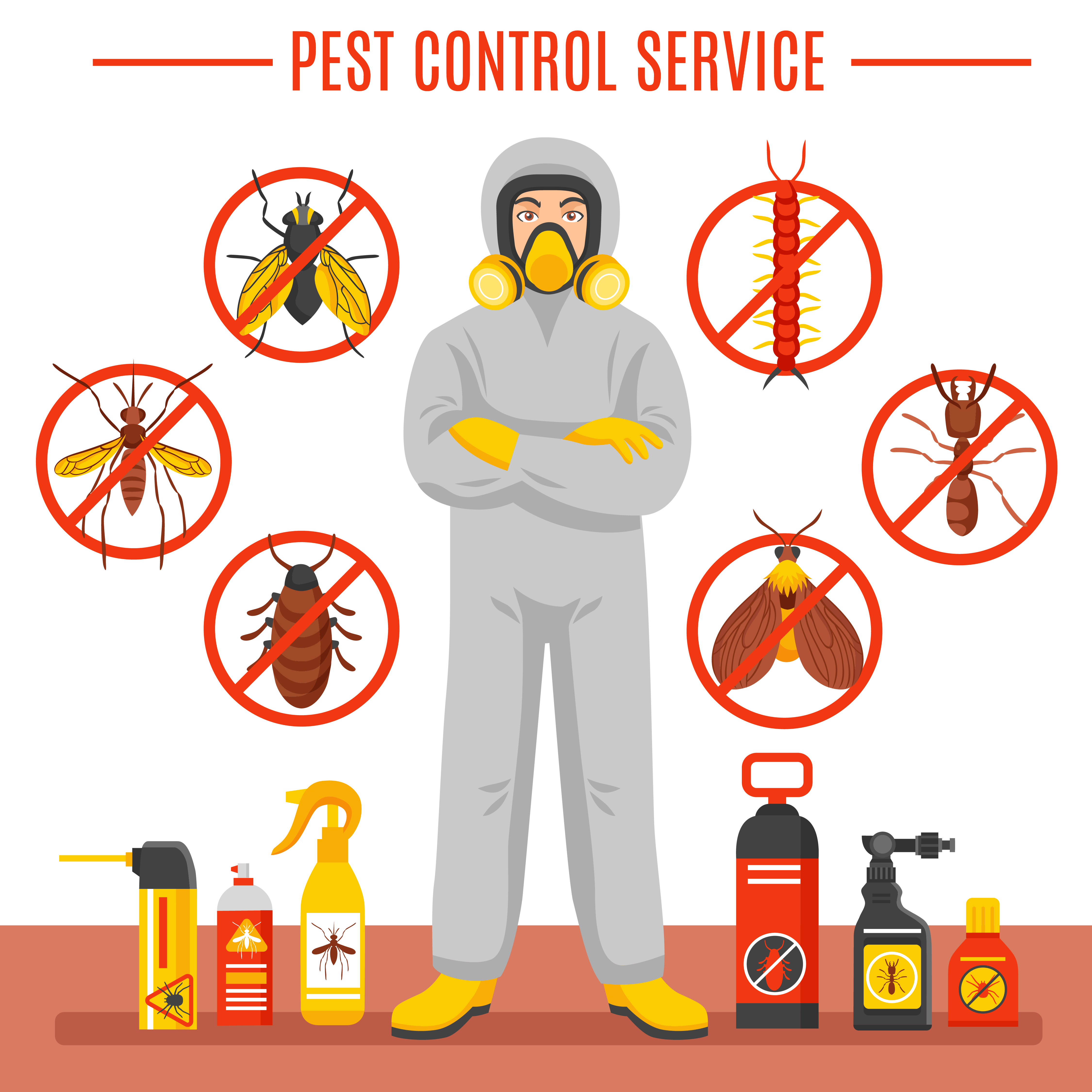 How to Choose the Right Pest Control Company for Insect Control