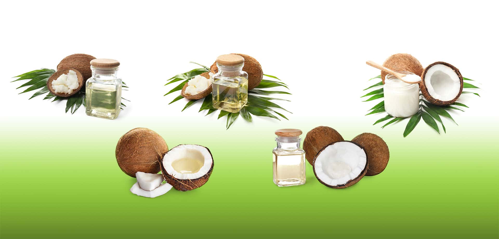 Coconut Based Products from Sri Lanka