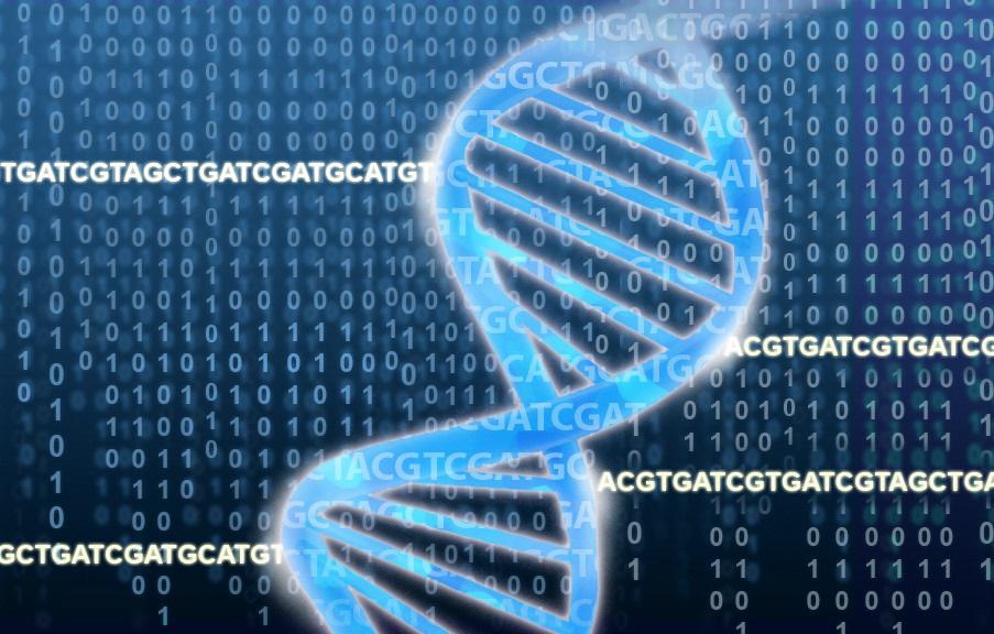 The global Next Generation Sequencing Market Growth Accelerated by Emerging Applications 