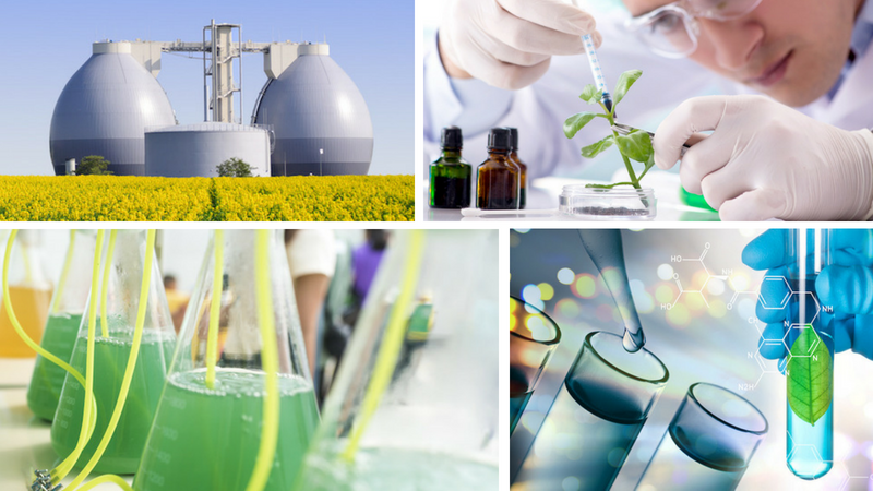 White Biotechnology: Harnessing Microbes for a Sustainable Future