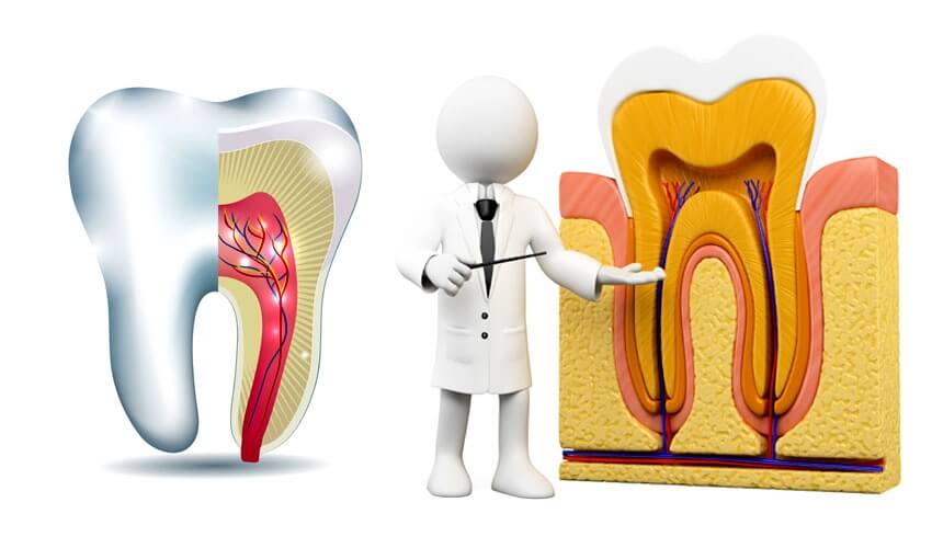 UNDERSTANDING THE ROOT CANAL PROCEDURE: WHAT PATIENTS IN THANE NEED TO KNOW